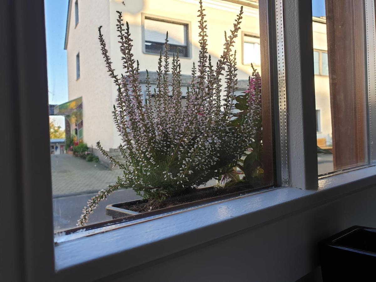 Duex-Hof Apartment Fachwerkhaus Bornheim  Εξωτερικό φωτογραφία